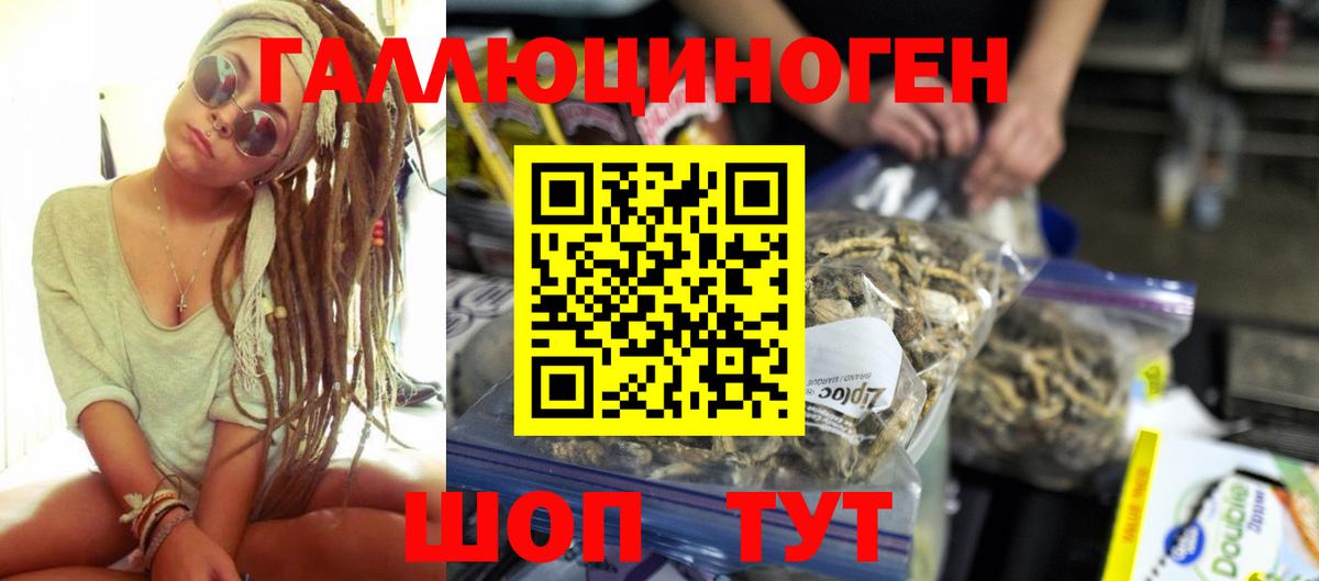 Псилоцибиновые грибы мицелий Новокуйбышевск