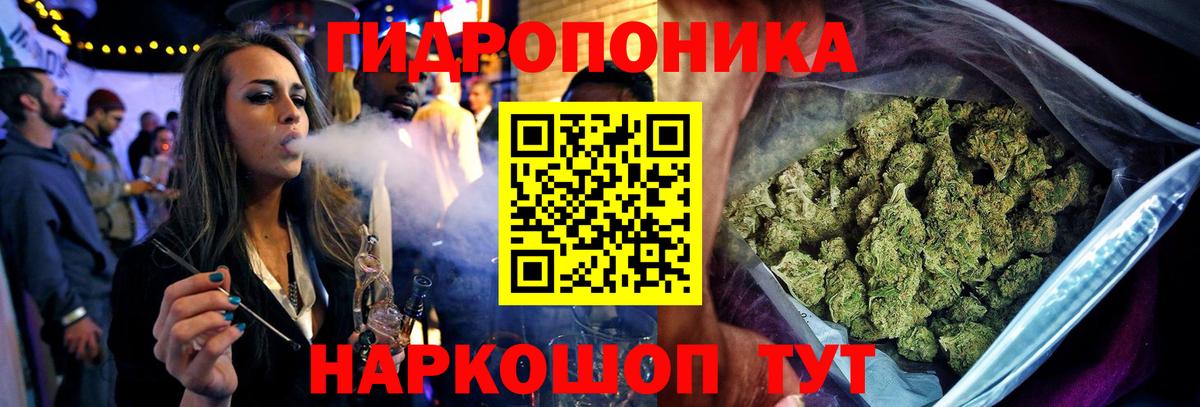 Бошки марихуана Bruce Banner  Канабис гибрид  Бошки Шишки White Widow  Новокуйбышевск  Вход с VPN 